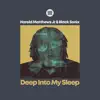Harold E. Matthews Jr. & Black Sonix - Deep into My Sleep